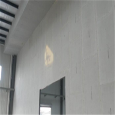 天门宁波ALC板|EPS加气板隔墙与混凝土整浇联接的实验研讨